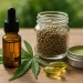 Exploring the World of CBD: Insights and Innovations
